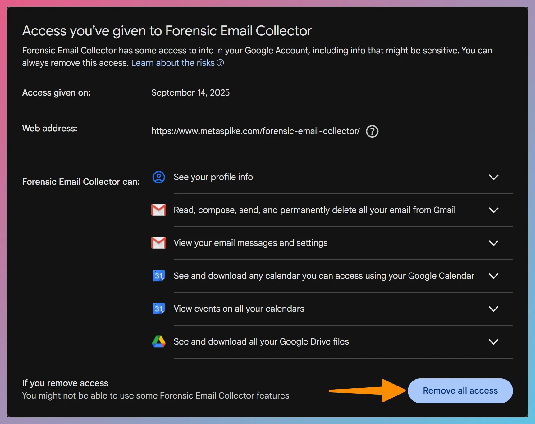 Google Remove All Access